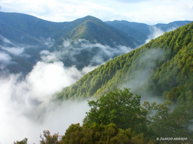 Foto de Cangas del Narcea (Asturias), España