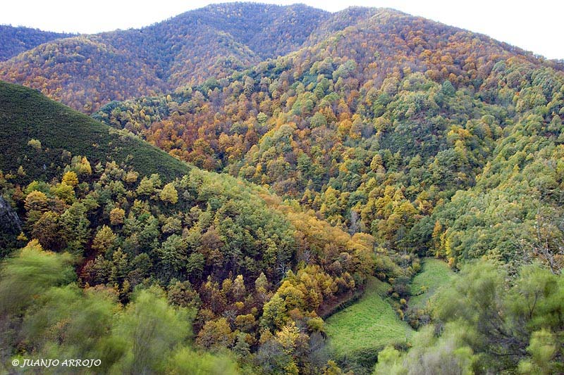 Foto de Cangas del Narcea (Asturias), España