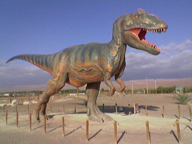 Foto de Iquique, Chile