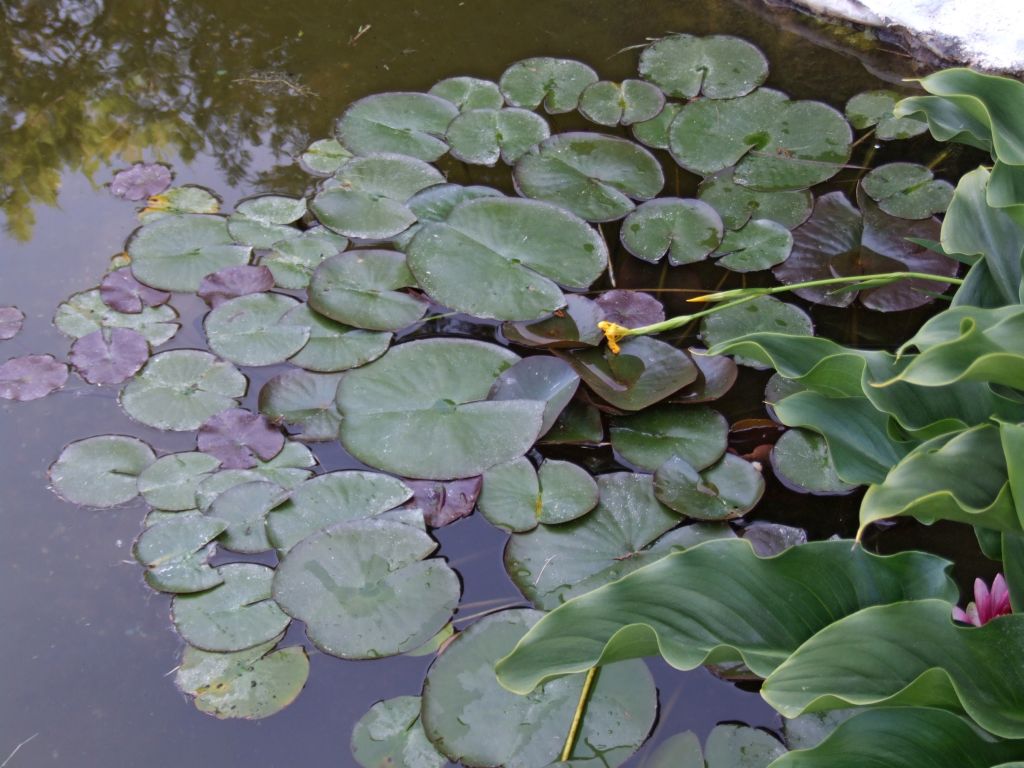 Foto de Salamanca (Castilla y León), España