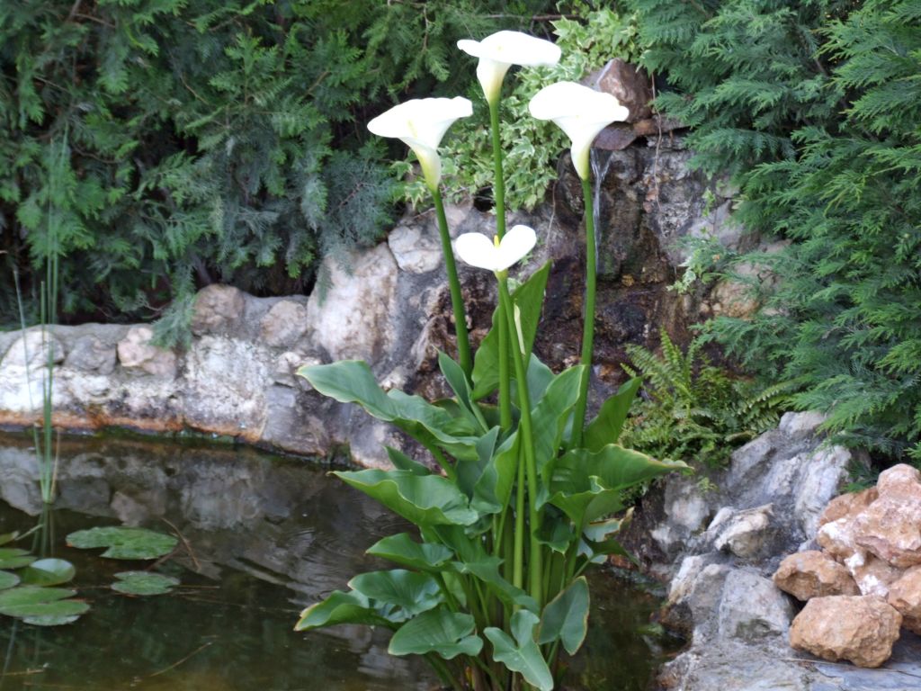 Foto de Salamanca (Castilla y León), España