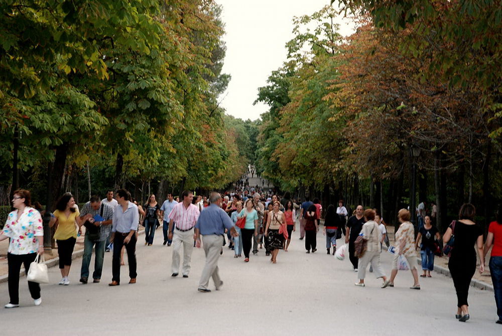 Foto de Madrid (Comunidad de Madrid), España