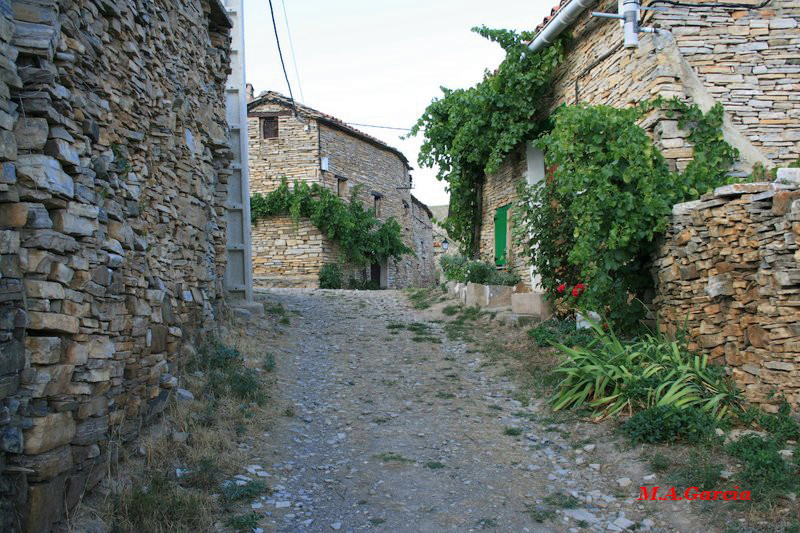 Foto de Castillejo de San Pedro (Soria), España