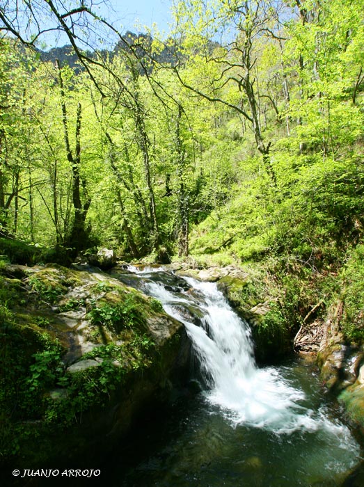 Foto de Piloña (Asturias), España