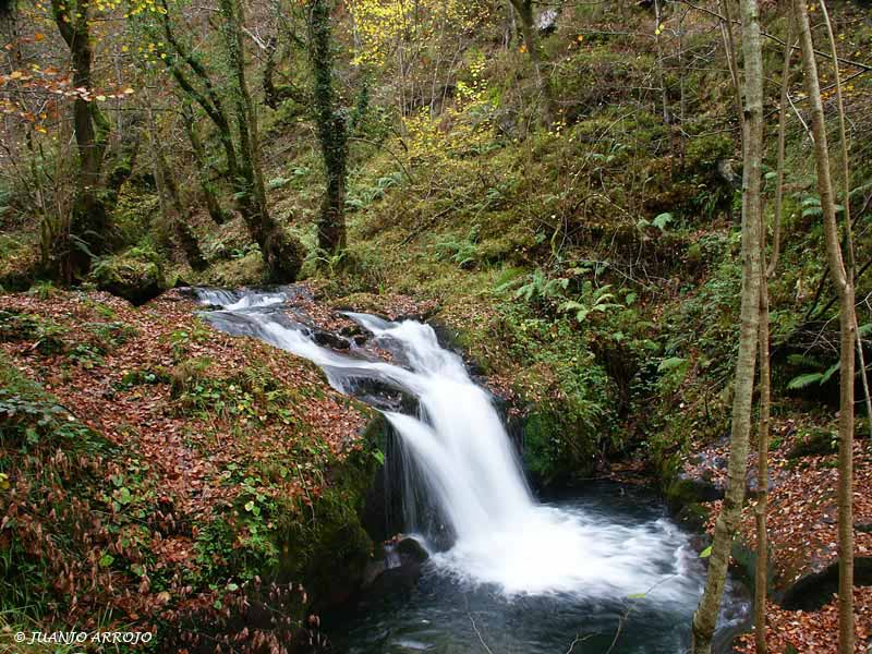 Foto de Piloña (Asturias), España