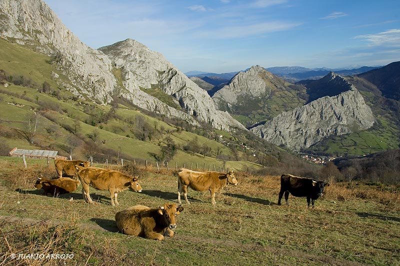 Foto de Morcín (Asturias), España