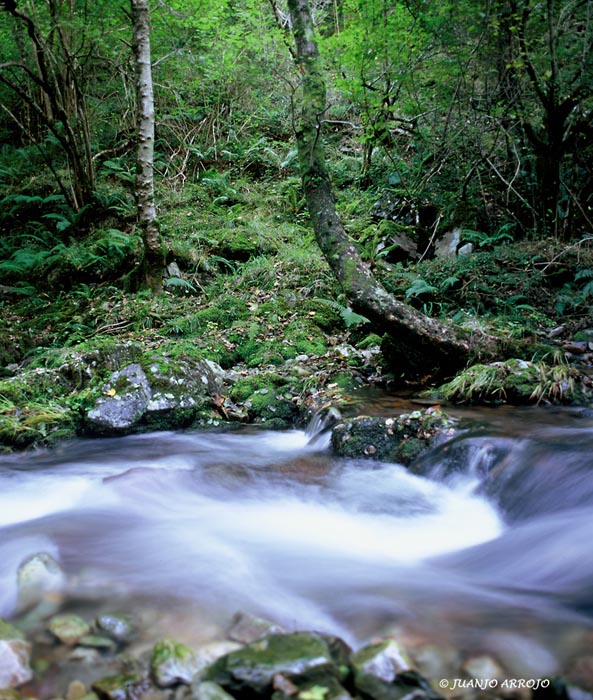 Foto de Santa Eulalia de Oscos (Asturias), España
