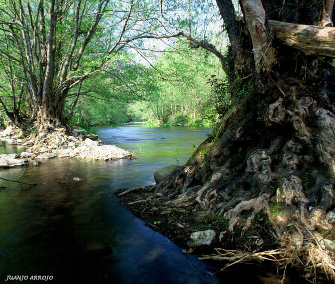 Foto de Luarca (Asturias), España