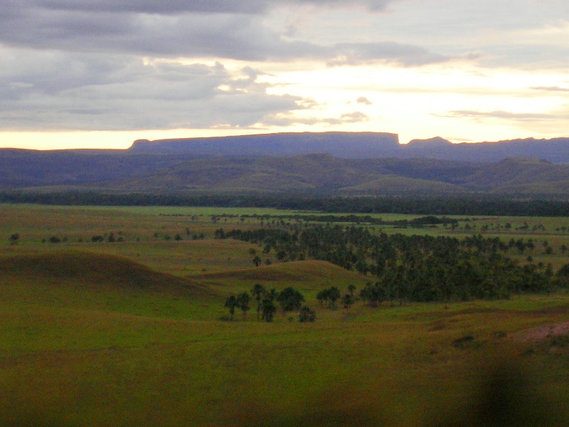 Foto de La Gran Sabana, Venezuela