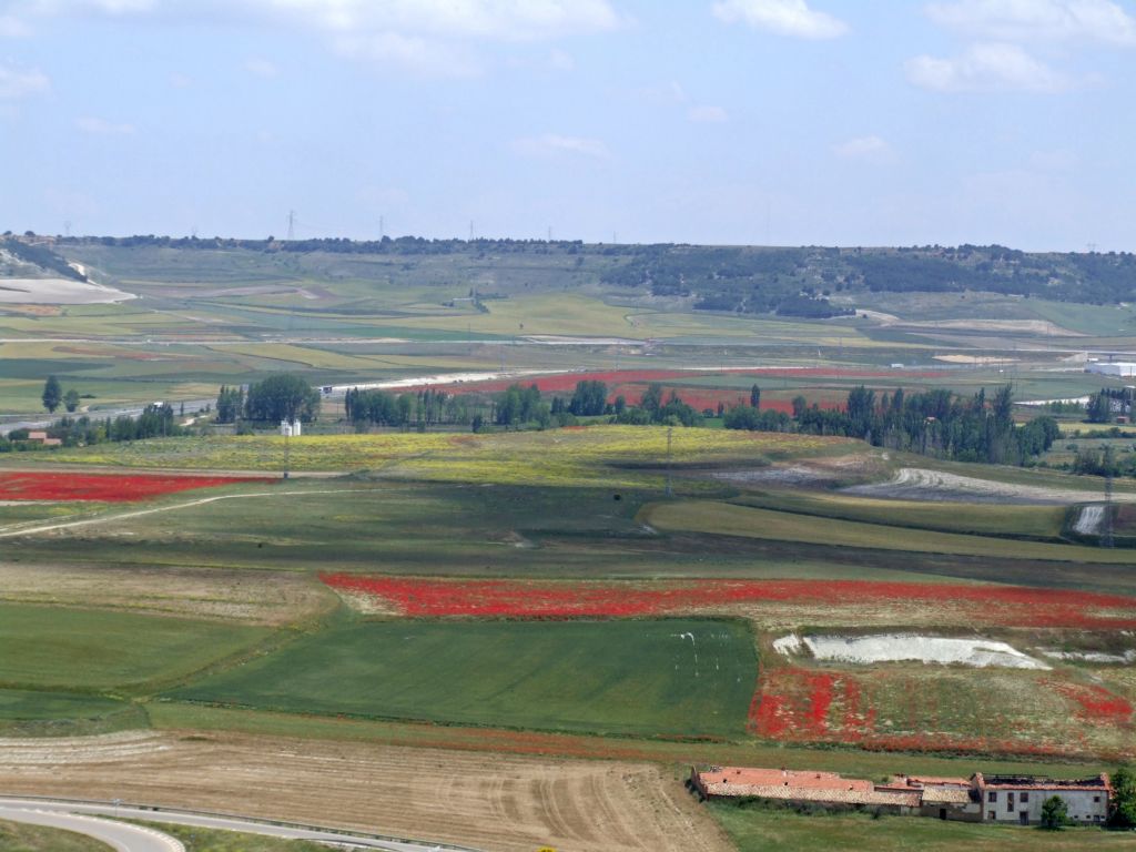 Foto de Palencia (Castilla y León), España
