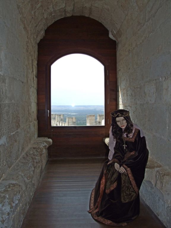 Foto de Peñafiel (Valladolid), España