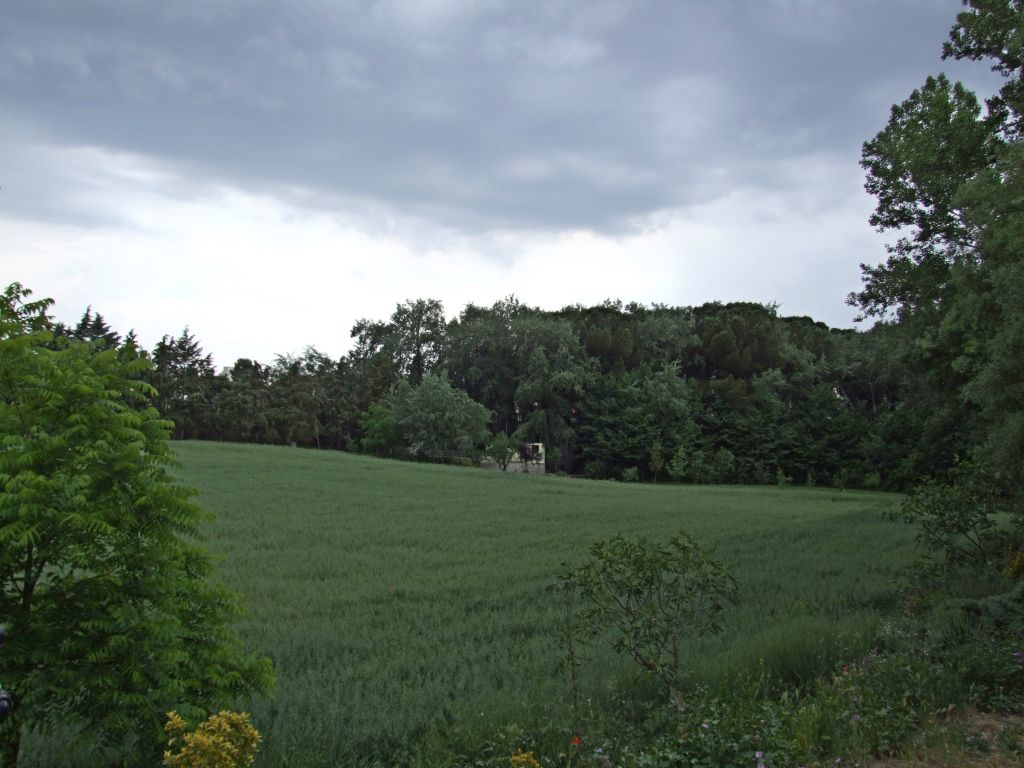 Foto de Peñafiel (Valladolid), España