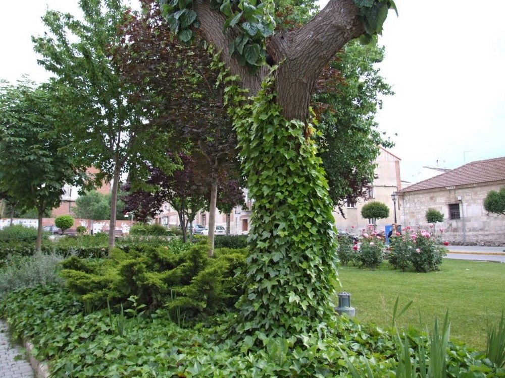 Foto de Peñafiel (Valladolid), España