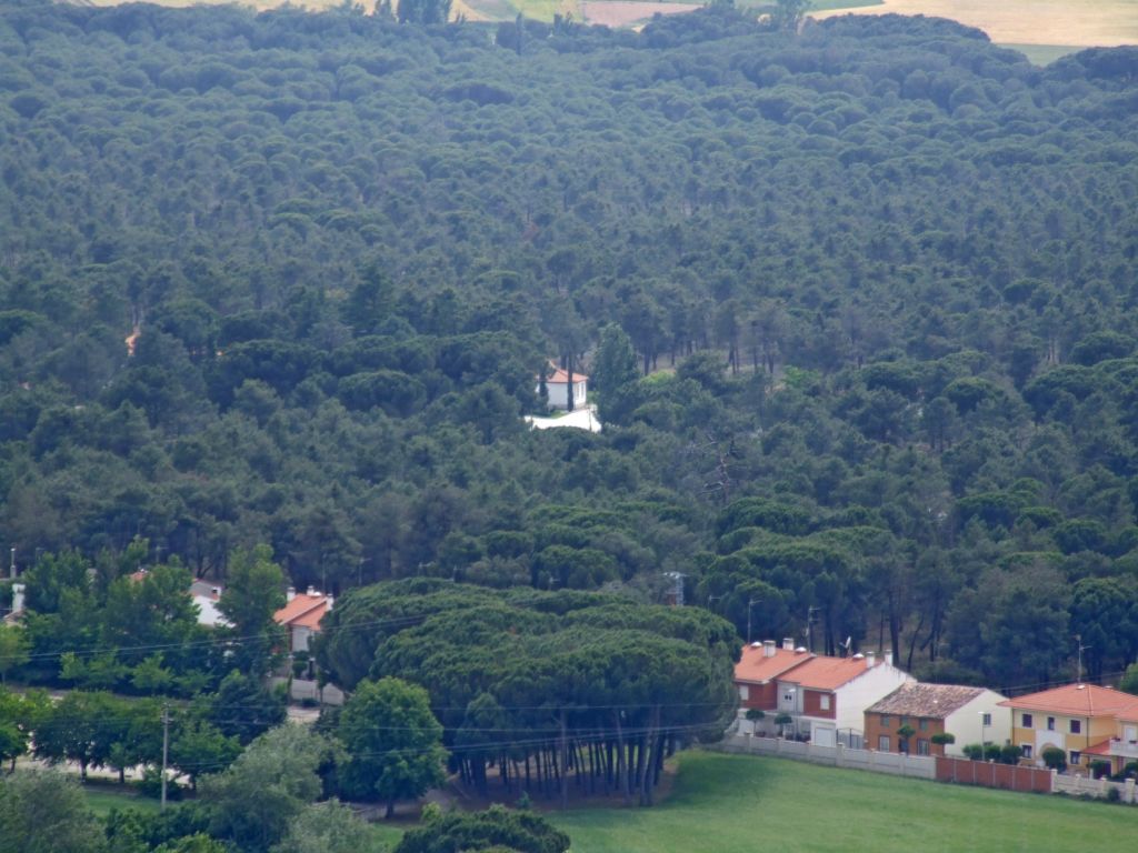 Foto de Peñafiel (Valladolid), España