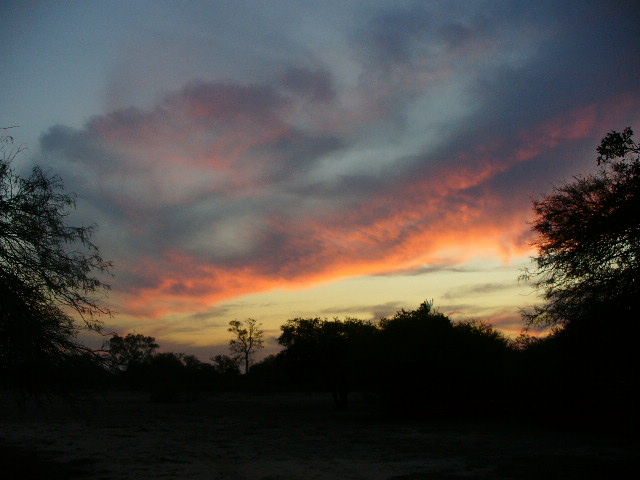 Foto de Tartagal, Argentina