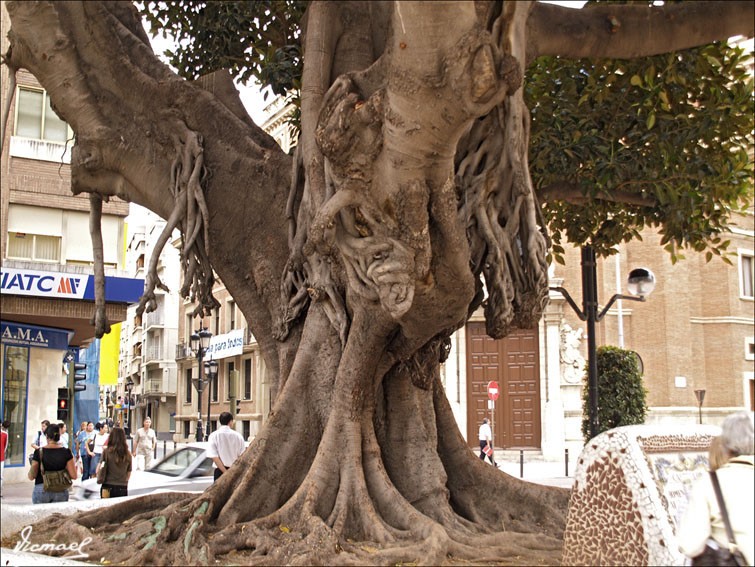 Foto de Castellón (Castelló), España