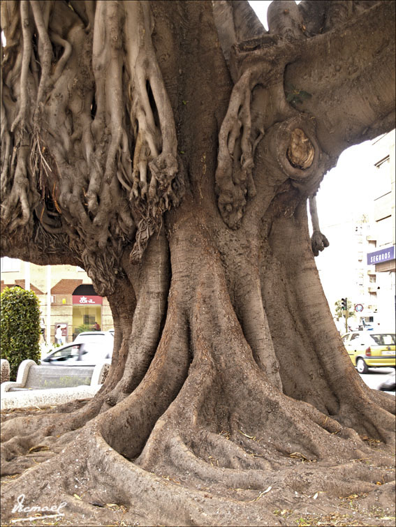 Foto de Castellón (Castelló), España