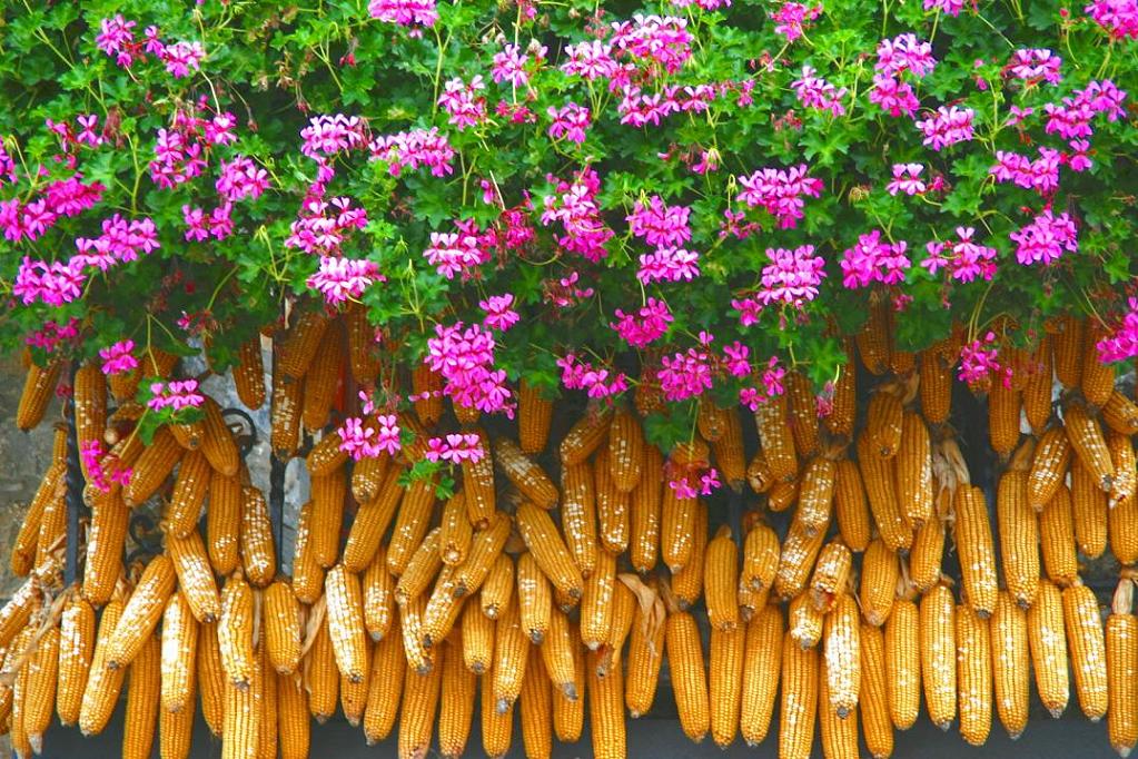 Foto de Ainsa (Huesca), España