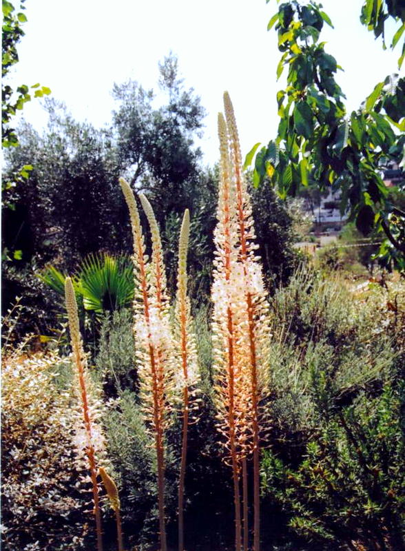 Foto de Tordera (Barcelona), España