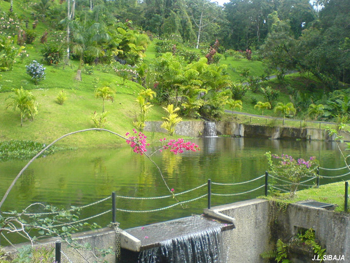 Foto de Alajuela, Costa Rica