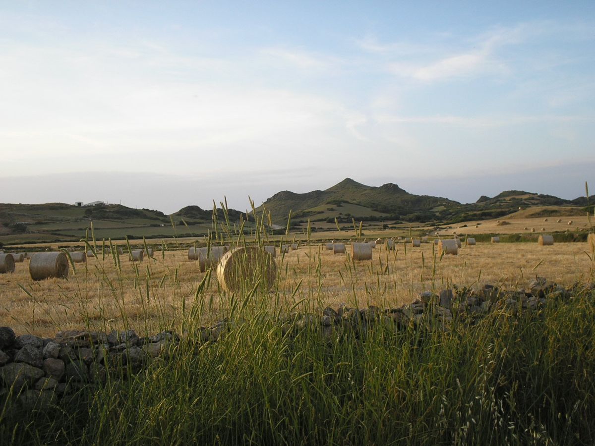 Foto de Es Mercadal (Illes Balears), España