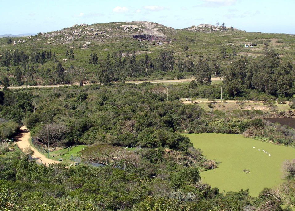 Foto de Cerro Pan de Azúcar, Uruguay