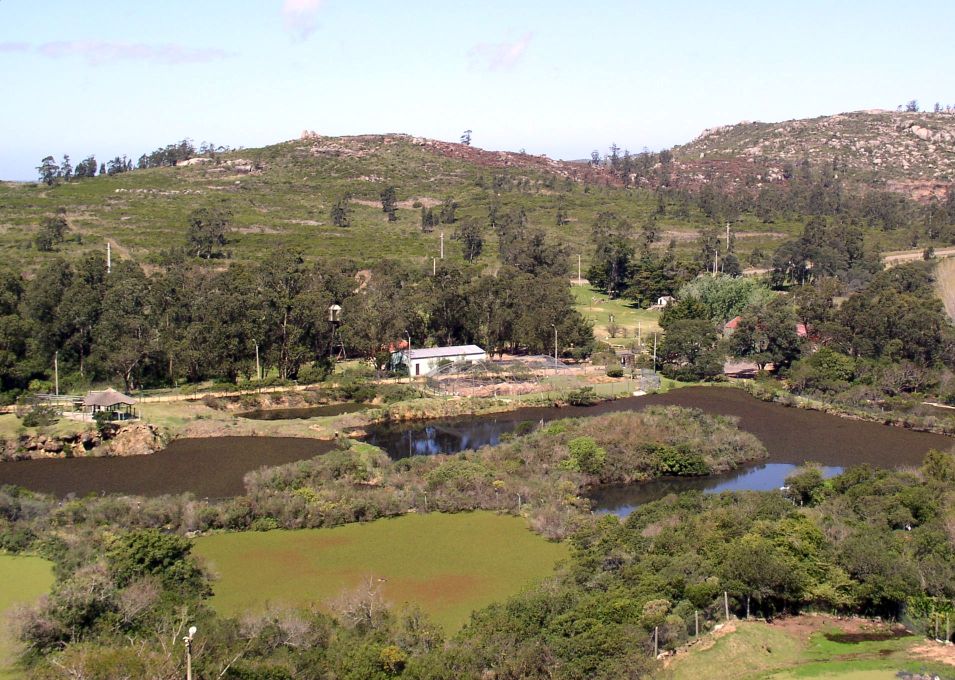Foto de Cerro Pan de Azúcar, Uruguay