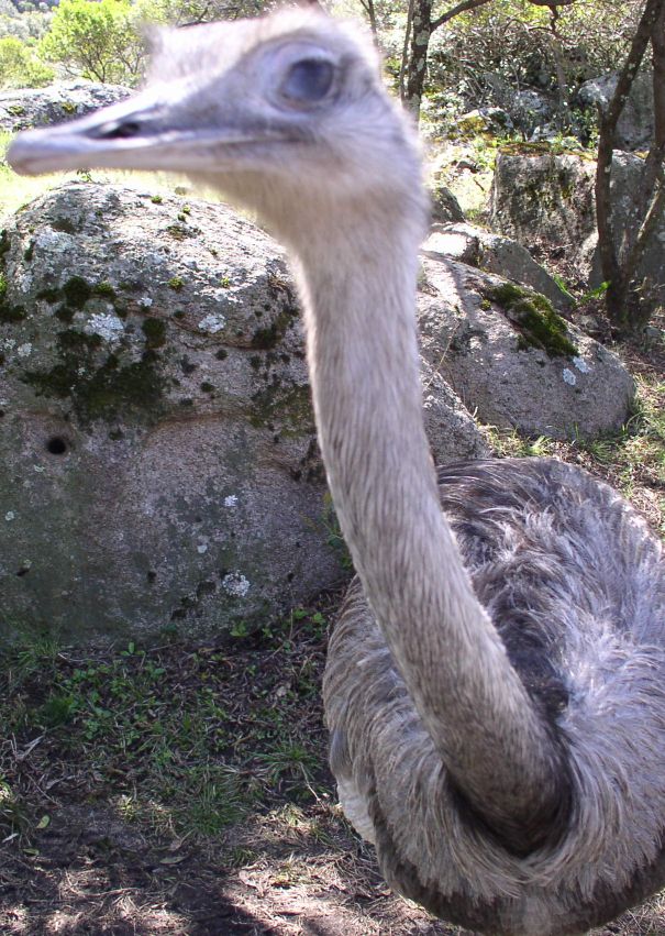 Foto de Cerro Pan de Azúcar, Uruguay