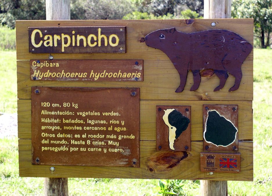 Foto de Cerro Pan de Azúcar, Uruguay