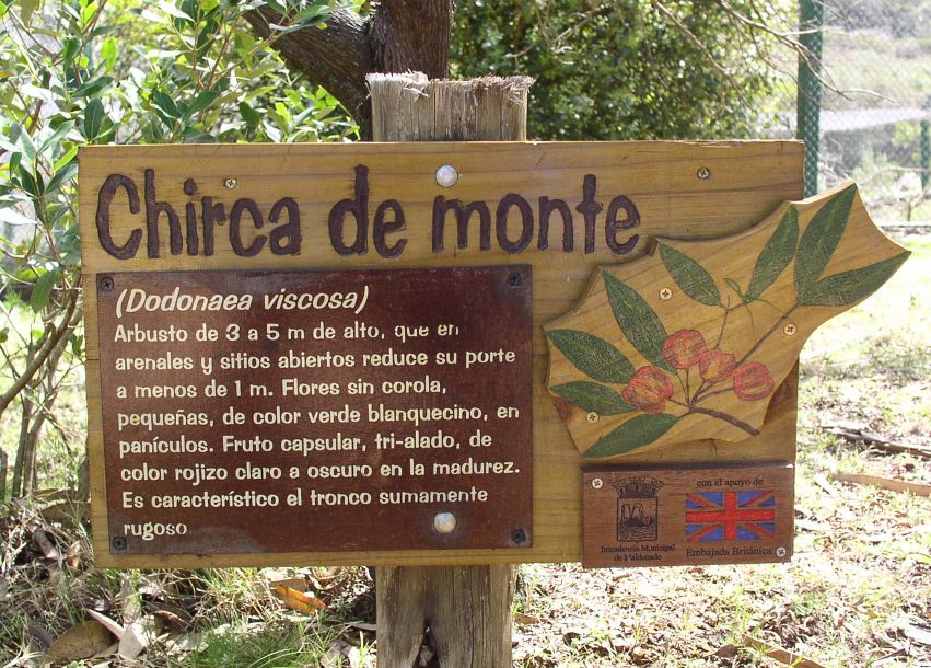 Foto de Cerro Pan de Azúcar, Uruguay