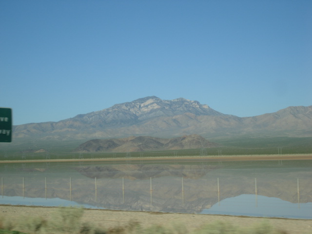 Foto de Desierto Majave (Nevada), Estados Unidos