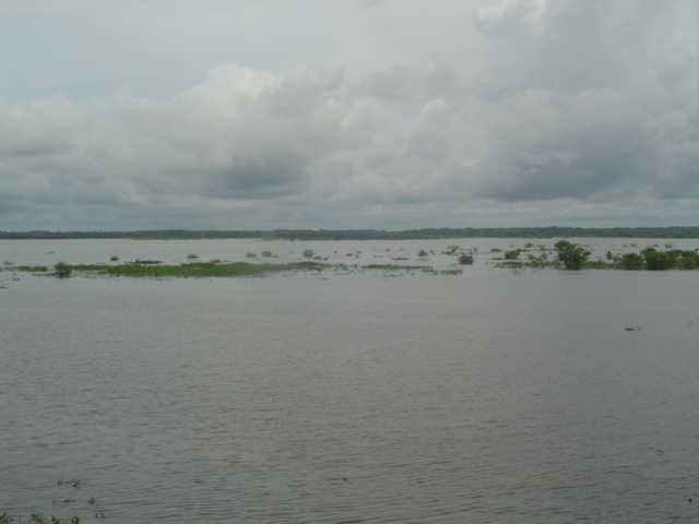 Foto de Iquitos, Perú
