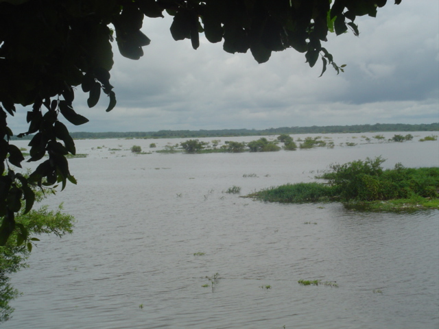 Foto de Iquitos, Perú