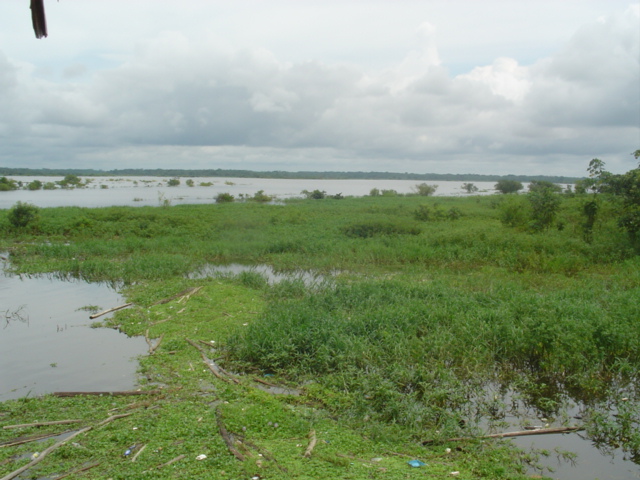 Foto de Iquitos, Perú