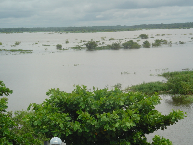 Foto de Iquitos, Perú
