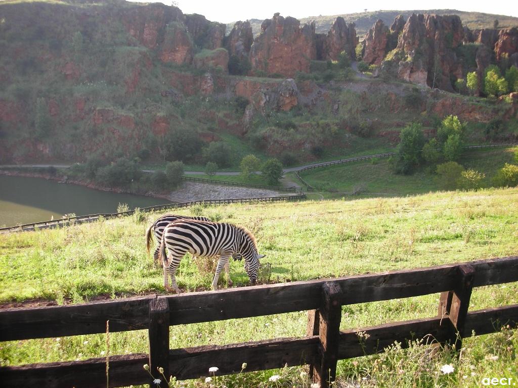 Foto de Cabárceno (Cantabria), España
