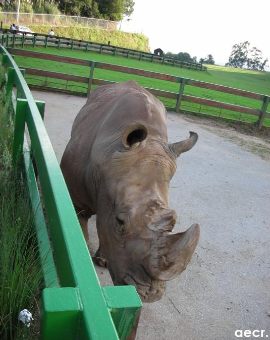 Foto de Cabárceno (Cantabria), España