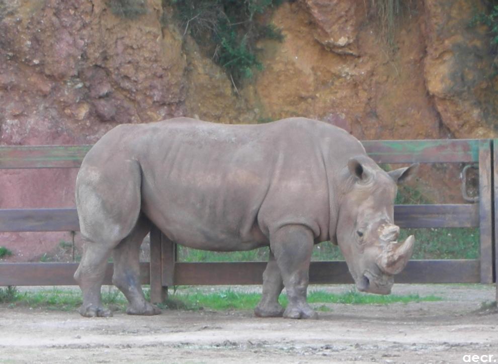 Foto de Cabárceno (Cantabria), España