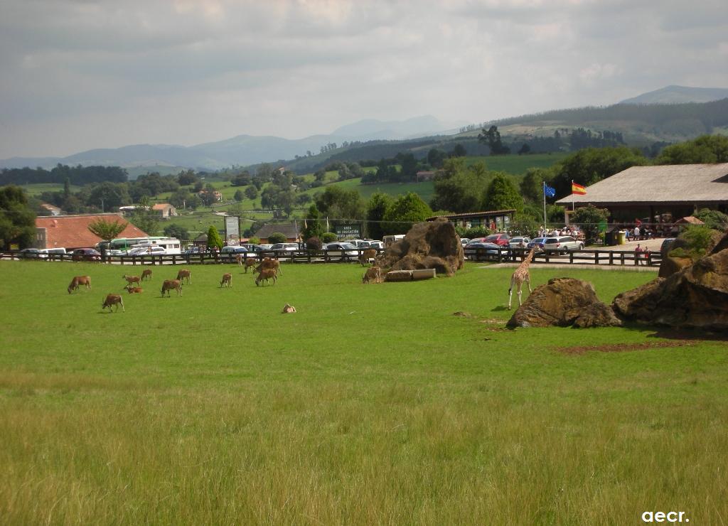 Foto de Cabárceno (Cantabria), España