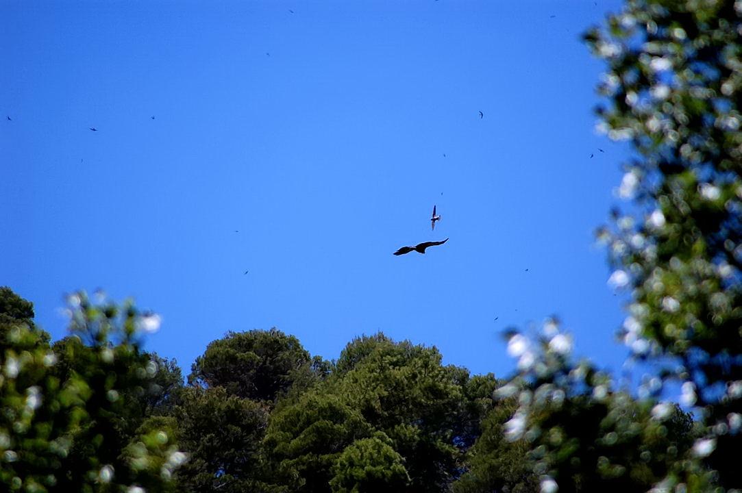 Foto de Boca del Infierno (Cuenca), España