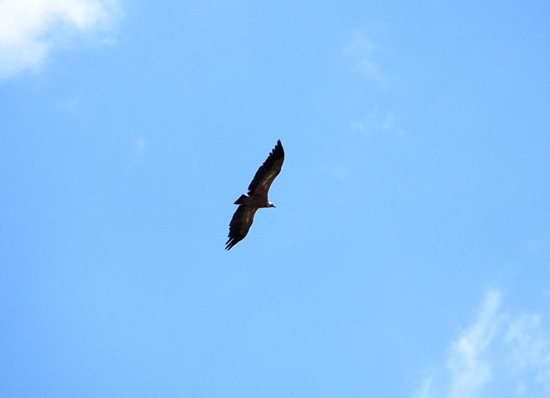 Foto de Boca del Infierno (Cuenca), España