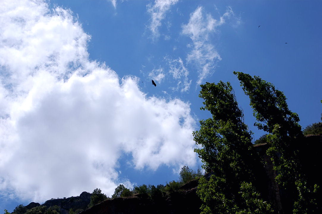 Foto de Boca del Infierno (Cuenca), España