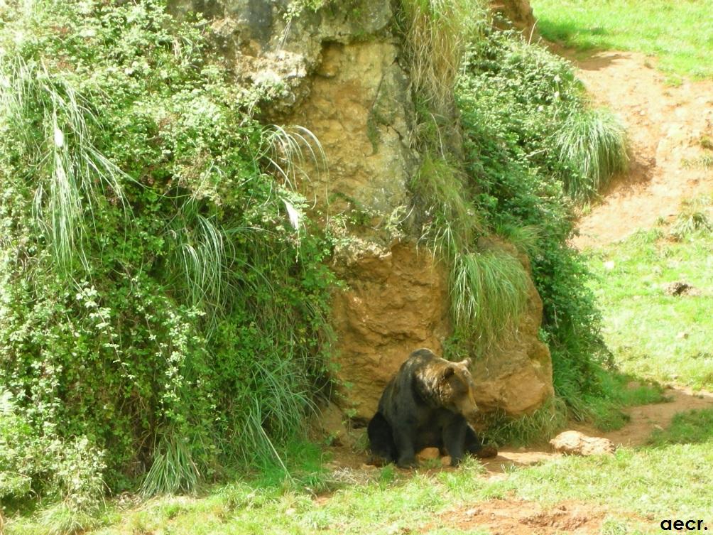 Foto de Cabárceno (Cantabria), España