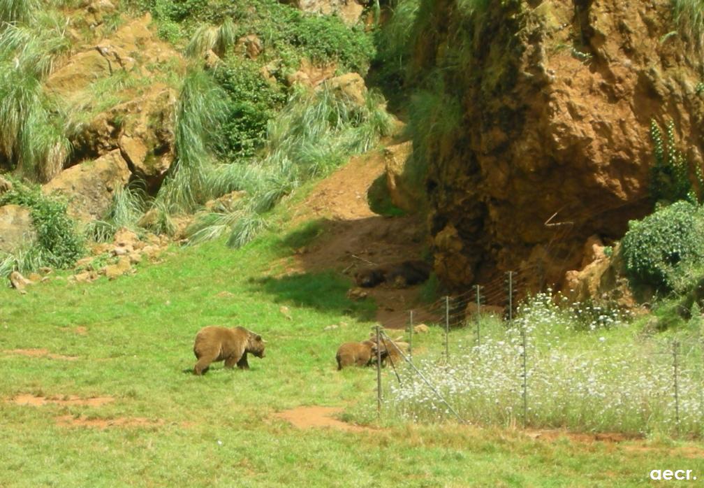 Foto de Cabárceno (Cantabria), España