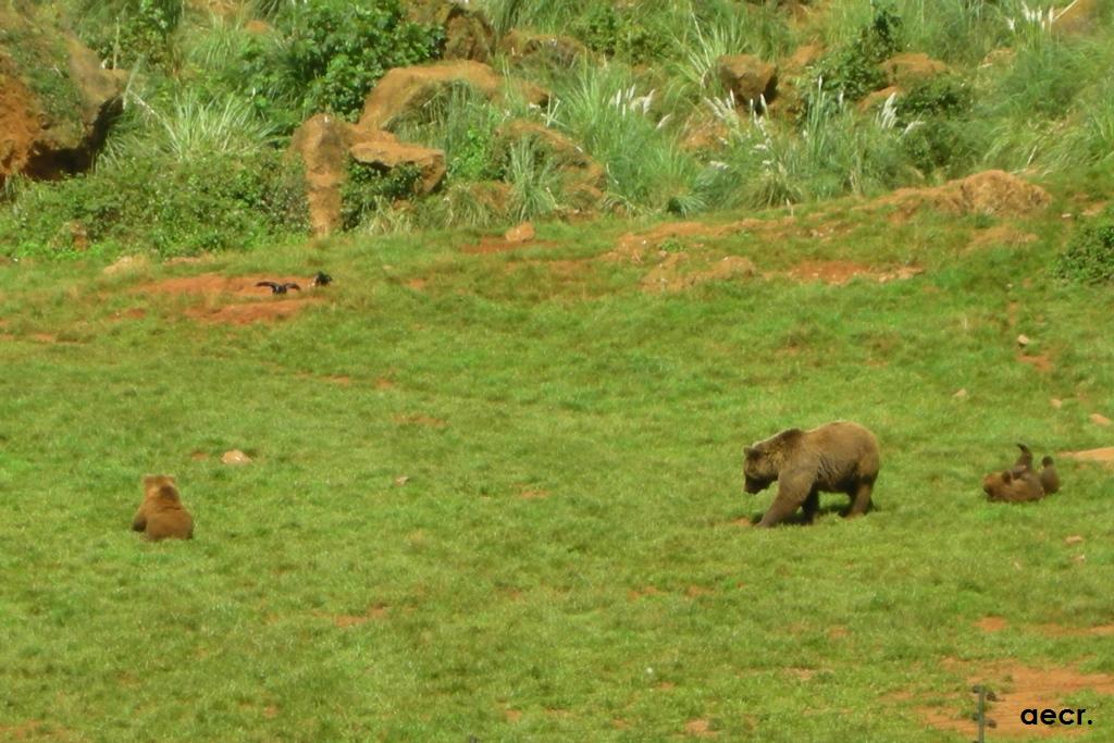 Foto de Cabárceno (Cantabria), España