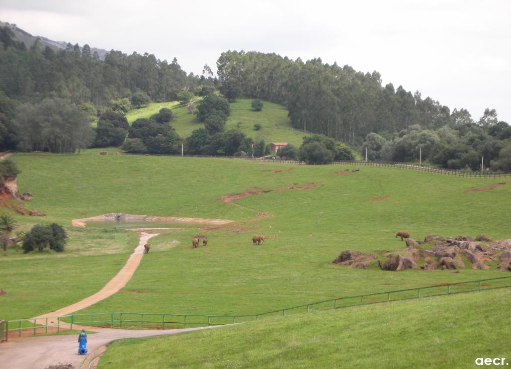 Foto de Cabárceno (Cantabria), España