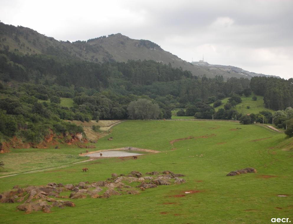 Foto de Cabárceno (Cantabria), España