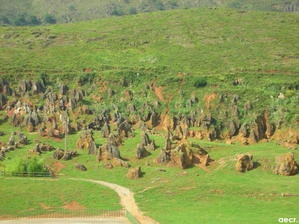 Foto de Cabárceno (Cantabria), España