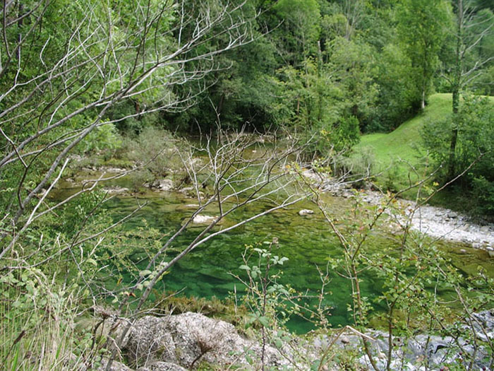 Foto de Tornin - Cangas de Onís (Asturias), España