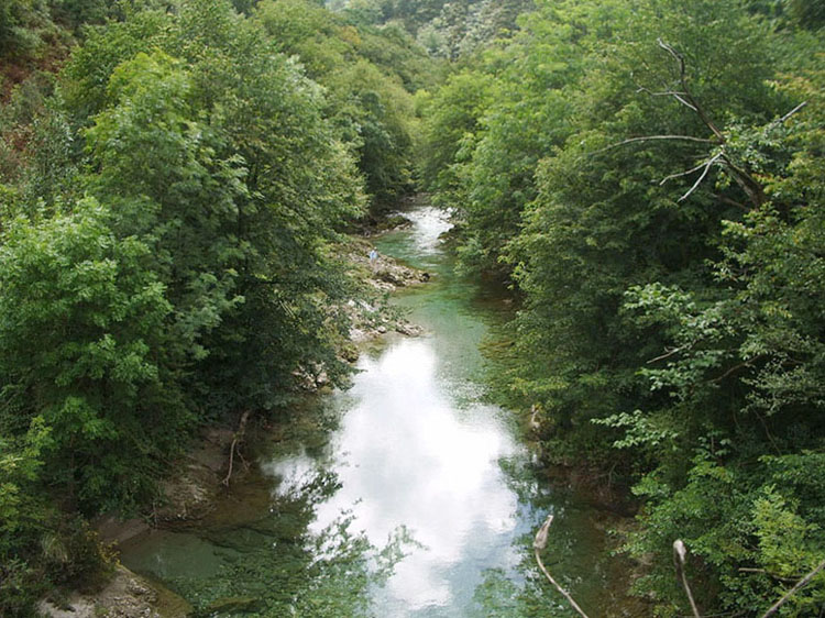 Foto de Tornin - Cangas de Onís (Asturias), España